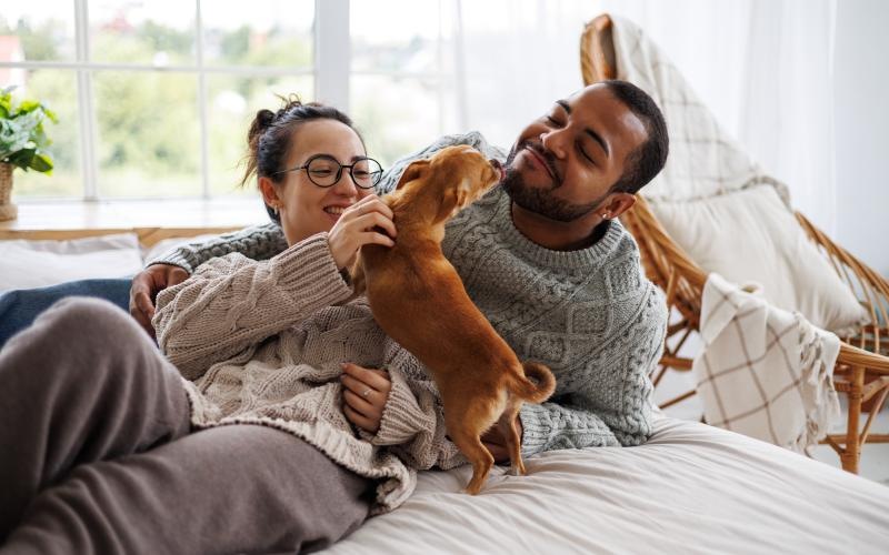 a man and woman lying on a bed with a dog