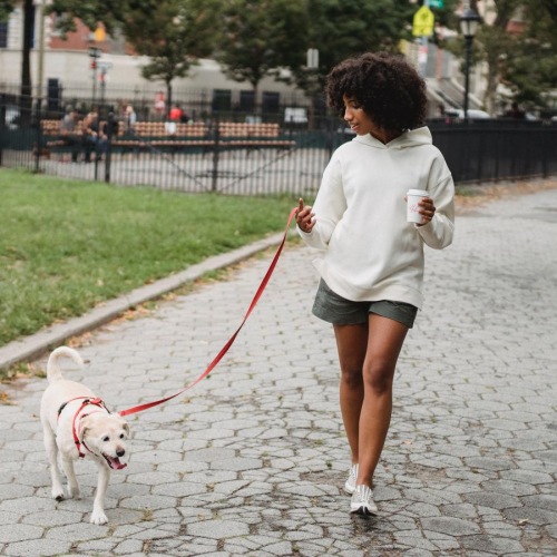 a person walking a dog on a leash
