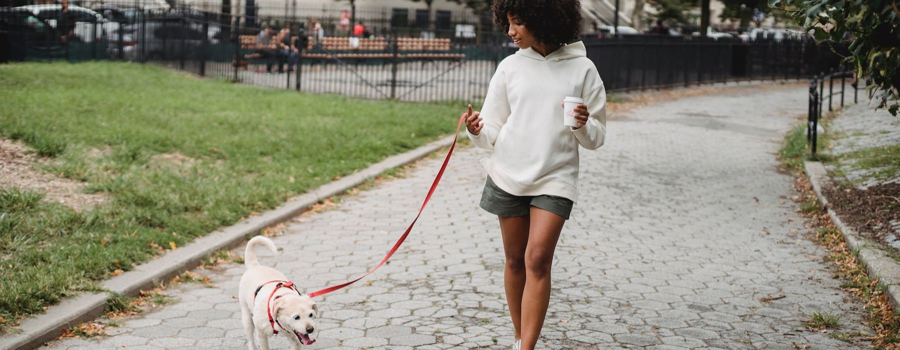 a person walking a dog on a leash