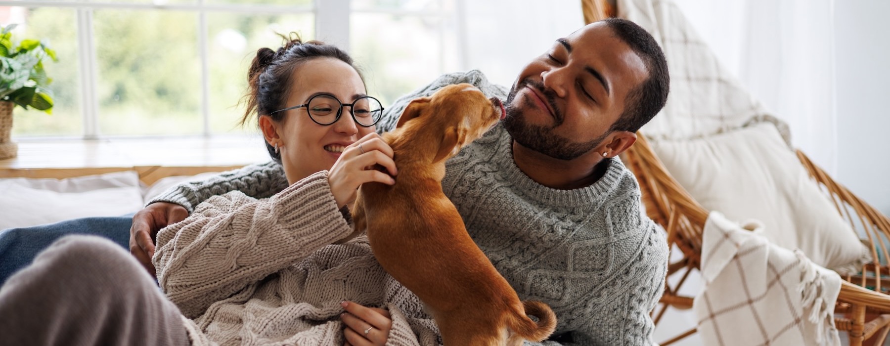 a man, woman and dog on a bed